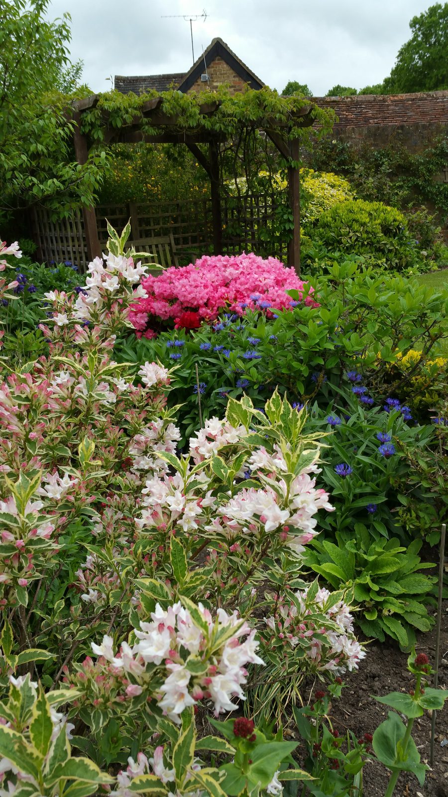 Flower Bed Design