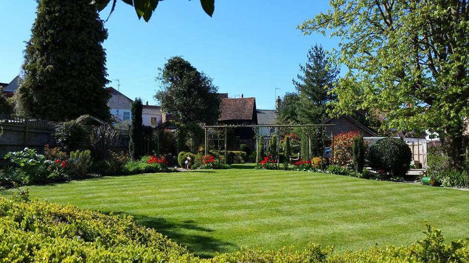 Complete Garden Transformation