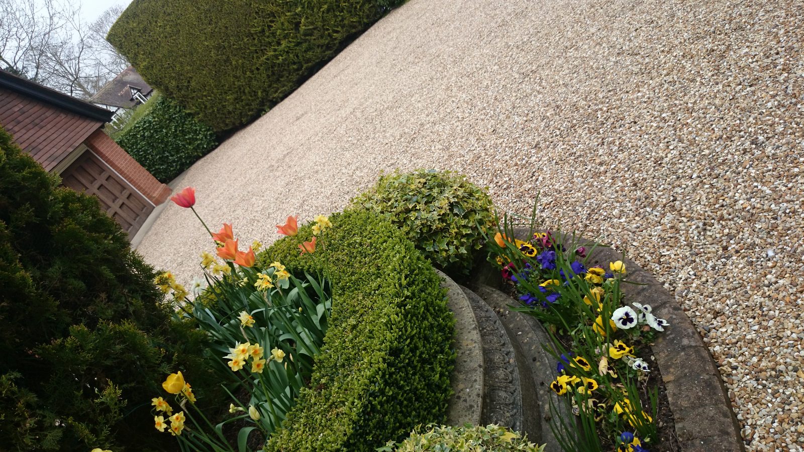 Hedge & Topiary Work