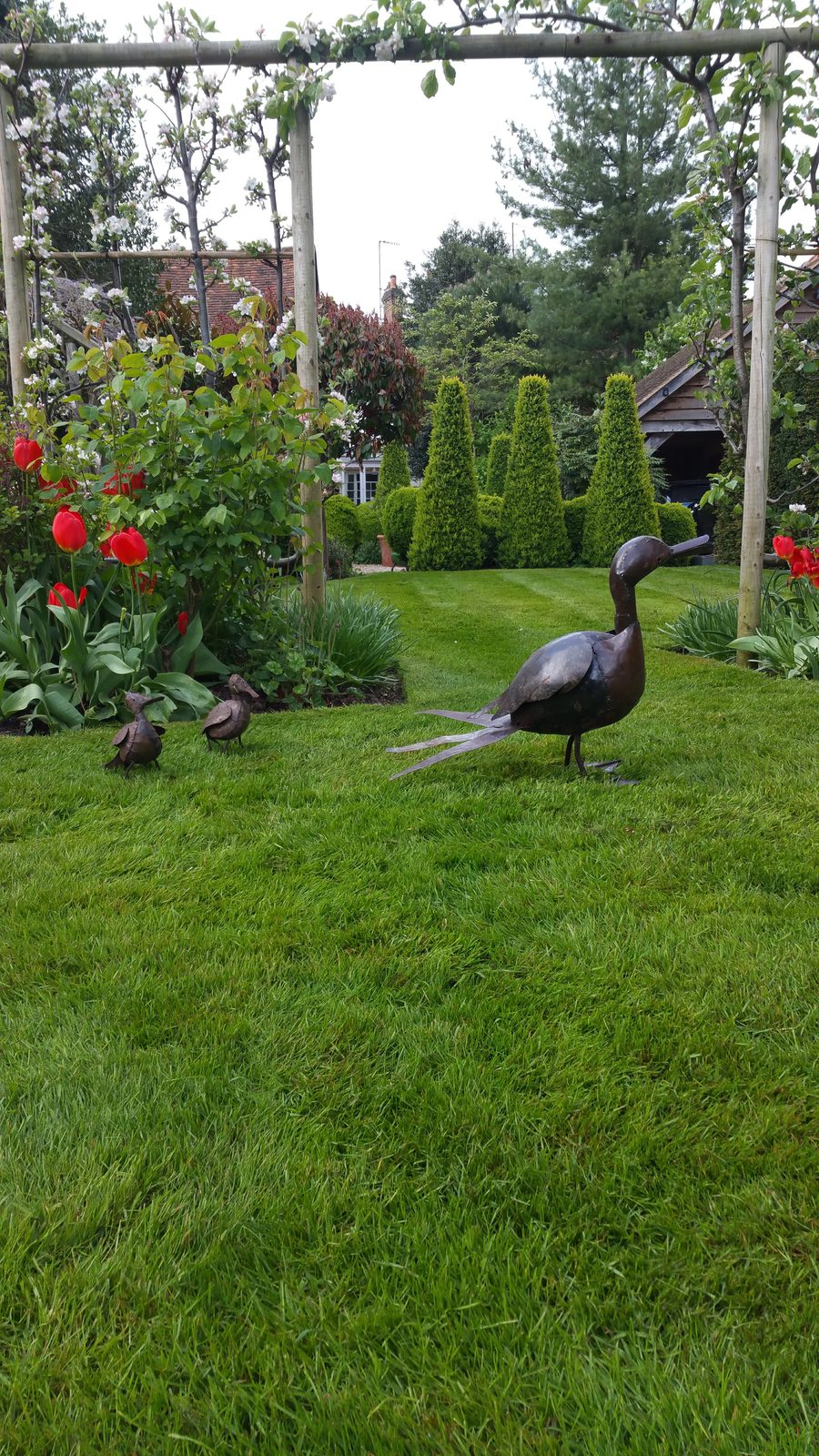 Lawn Care Service